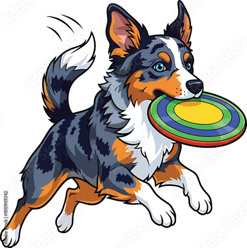 Australian Shepherd Dog Catching Frisbee Active Playful Puppy Illustration Pet Animal Vector