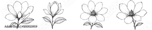 Four black and white flowers are shown in a row. The flowers are all different sizes and shapes