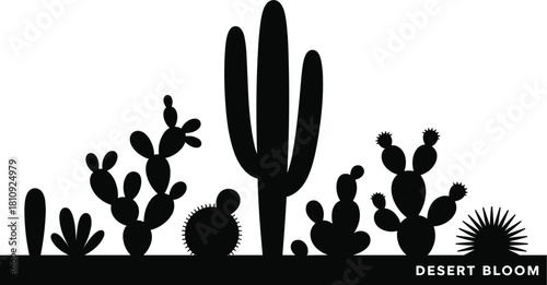 Desert Bloom Silhouette of Various Cacti and Succulents vector illustration