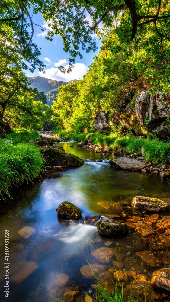 Obraz premium Serene River Flowing Through Lush Green Forest Landscape.