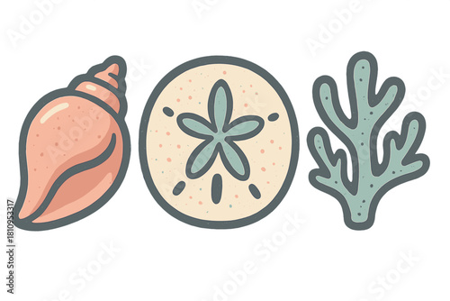 Decorative set of ocean treasures featuring conch shell, sand dollar, and sea flora