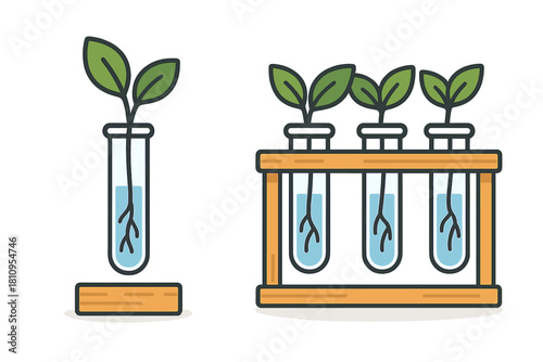 Plant growth experiment in laboratory test tubes for biology research and genetic engineering