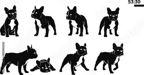 French Bulldog silhouette, dog poses, pet icon, black vector, breed illustration, muscular build, cad drawing flat vector illustration