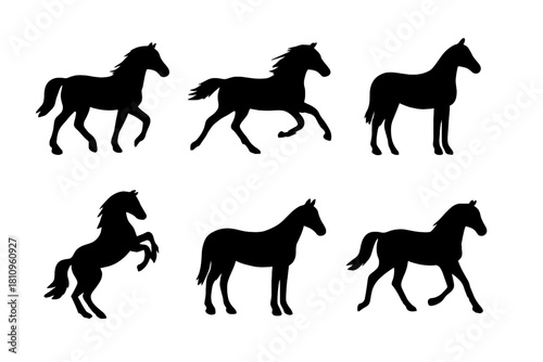 Six black horse silhouettes showing various dynamic gaits and poses