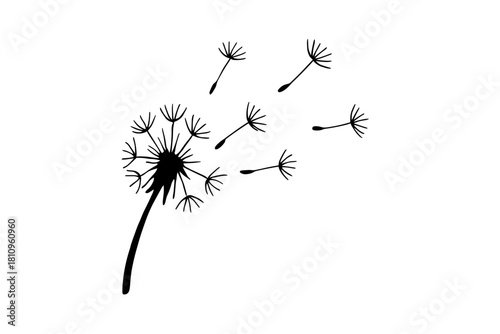 Black silhouette of dandelion flower head with seeds blowing in the wind