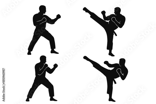 Silhouettes of martial arts fighters executing various combat stances and dynamic kicks