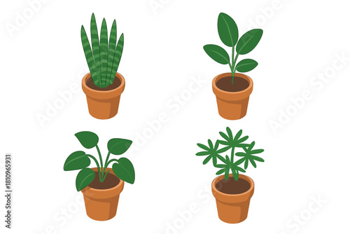 Four isometric potted houseplants with vibrant green foliage