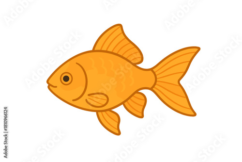 Simple orange goldfish swimming sideways isolated on white background