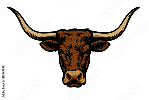 Powerful Texas Longhorn bull head with massive curved horns facing forward