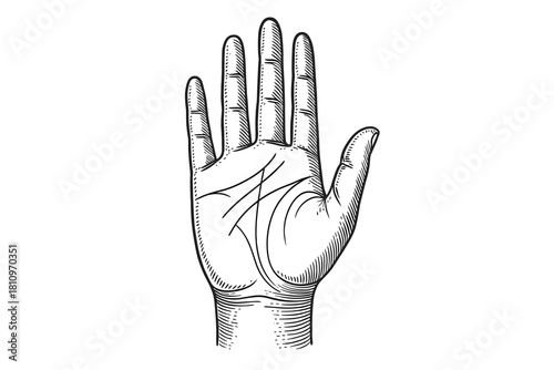 Vintage engraving style open human hand with palmistry lines on palm