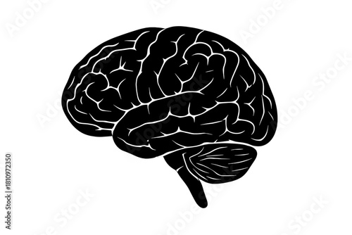 Stylized black silhouette of the human brain showing anatomical structure and complexity