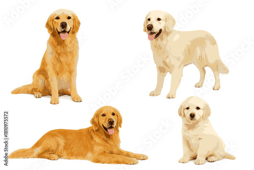Golden Retriever dogs in various poses and ages including adult and puppy