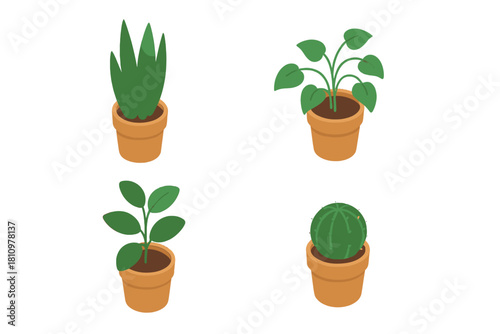 Four potted houseplants in terracotta containers shown in isometric view