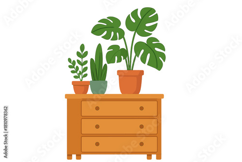 Assortment of potted houseplants displayed on a wooden drawer chest