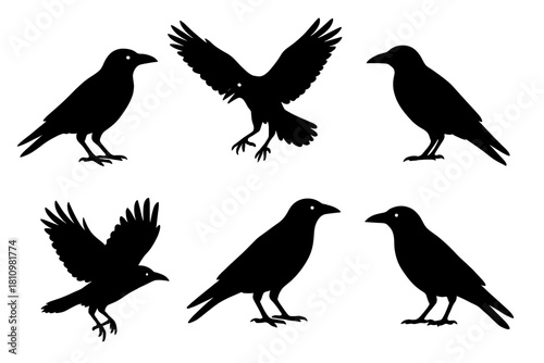 Set of six black crow silhouettes in different poses including standing and flying