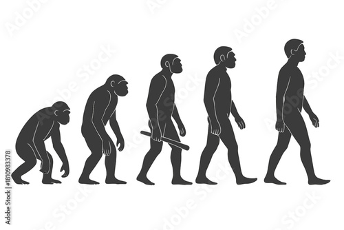 Sequence of hominid figures illustrating the progression of human evolution