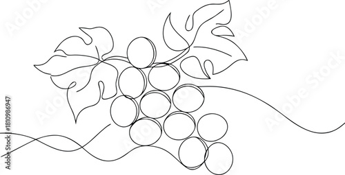 Single line drawing of grapes and leaves vine fruit