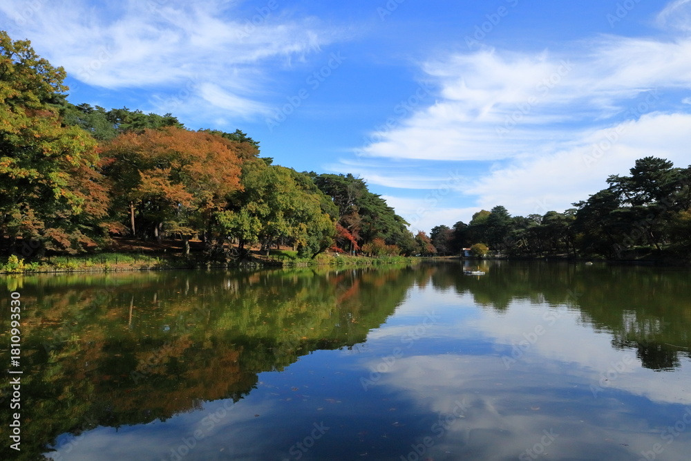 Fototapeta premium 日本 埼玉の秋の風景