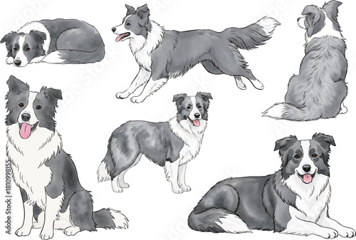 ボーダーコリーの水彩イラストセット