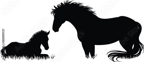 Black silhouette of mare horse standing near lying foal in grass, vector illustration isolated on white background, farm animal family