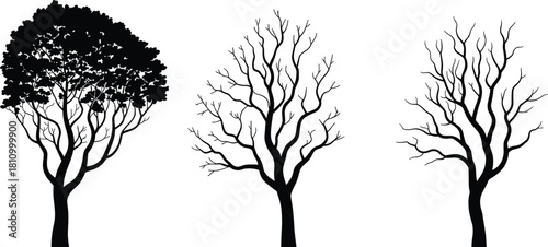 Vector set of three black tree silhouettes showing seasonal changes from lush foliage to bare winter branches isolated on white