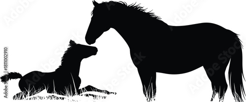 Silhouette of mother horse and foal touching noses, mare loving baby on grass, vector illustration isolated on white background