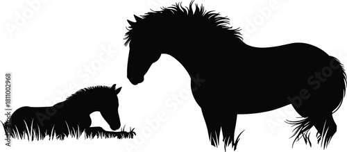 Silhouette of mother horse standing near baby foal lying in grass, mare and colt vector illustration isolated on white background