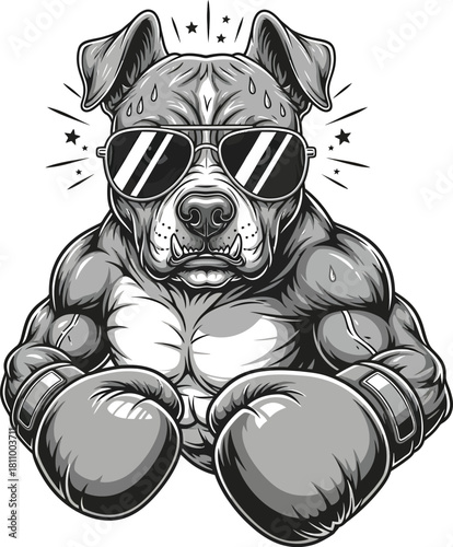 Muscular pitbull dog boxer in a monochrome illustration wearing cool sunglasses and large boxing gloves.