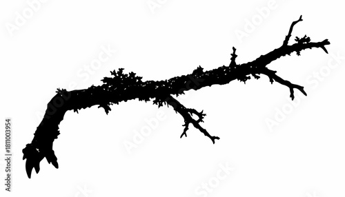 Silhouette of Twig Nature's Branch Artwork - Organic Woodland Ornament