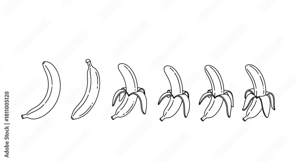 Obraz premium Vector illustration of banana peeling process illustration, handdrawn sketch, white