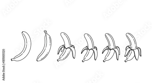 Vector illustration of banana peeling process illustration, handdrawn sketch, white
