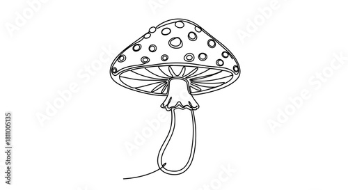 Vector illustration of detailed mushroom illustration in black and white