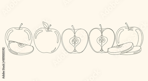 Vector illustration of line art illustration of apples, whole and sliced, in a minimalist style