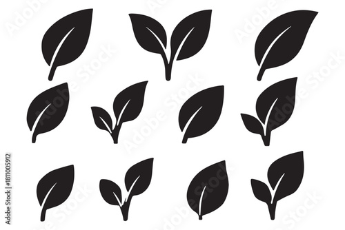 Green leaf icons set. Leaves icon on transparent background. Collection green leaf. Elements design for natural, eco, vegan, bio labels.