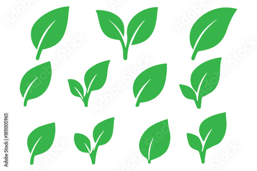 Green leaf icons set. Leaves icon on transparent background. Collection green leaf. Elements design for natural, eco, vegan, bio labels.