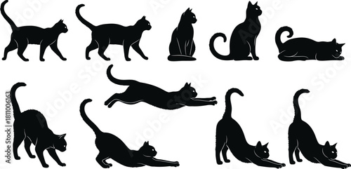 Collection of black cat silhouettes in various poses