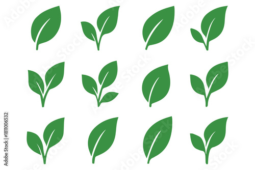 Green leaf icons set. Leaves icon on transparent background. Collection green leaf. Elements design for natural, eco, vegan, bio labels.