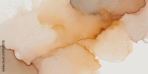 White feathers and abstract cloud smoke texture design on a vintage light sky background