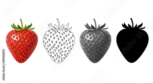 Vector illustration of hand drawn illustration of a strawberry in different styles isolated on white
