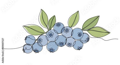 Vector illustration of fresh blueberries with green leaves isolated on