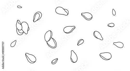 Vector illustration of sesame seed pattern in continuous line drawing isolated on