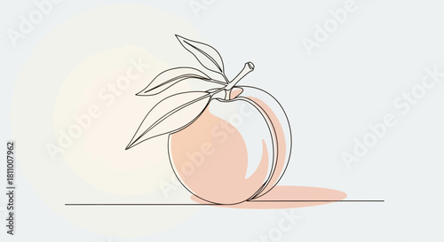 Vector illustration of peach fruit with leaves in continuous line drawing isolated on