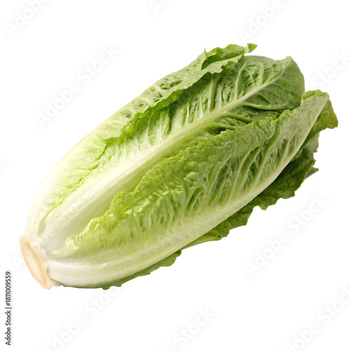 Cabbage isolated on a transparent background
