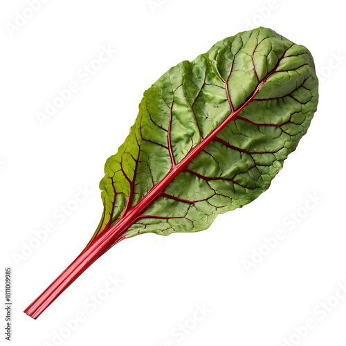 Green leaf isolated on a transparent background
