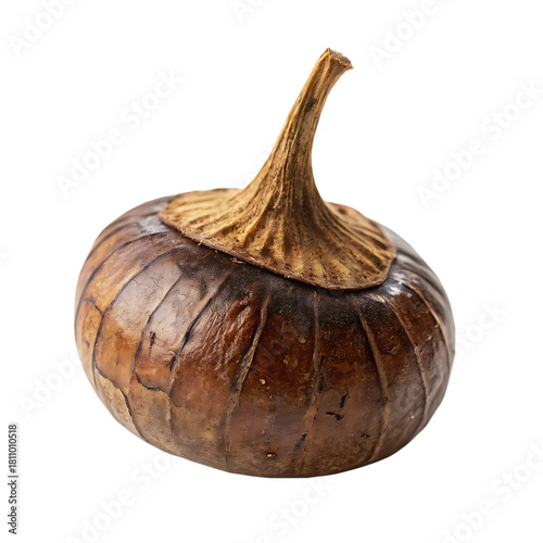 Onion isolated on a transparent background
