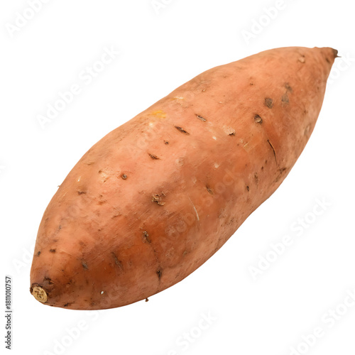 Potato isolated on a transparent background
