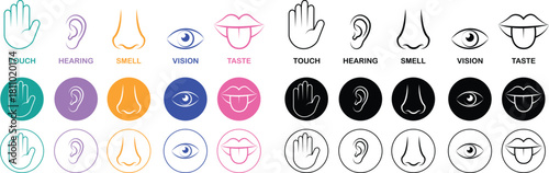 Five senses icon set collection group with touch hand, hearing ear, smell nose, vision eye, taste mouth symbols in flat and line style outline minimal vector design on transparent background