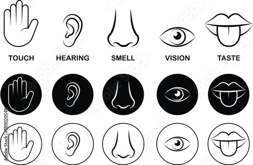 Five senses icon set collection group with touch hand, hearing ear, smell nose, vision eye, taste mouth symbols in flat and line style outline minimal vector design on transparent background