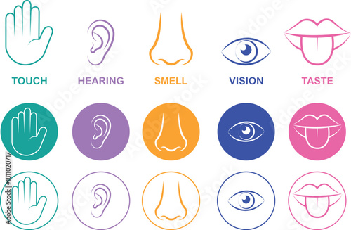 Five senses icon set collection group with touch hand, hearing ear, smell nose, vision eye, taste mouth symbols in flat and line style outline minimal vector design on transparent background