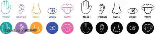 Five senses icon set collection group with touch hand, hearing ear, smell nose, vision eye, taste mouth symbols in flat and line style outline minimal vector design on transparent background
